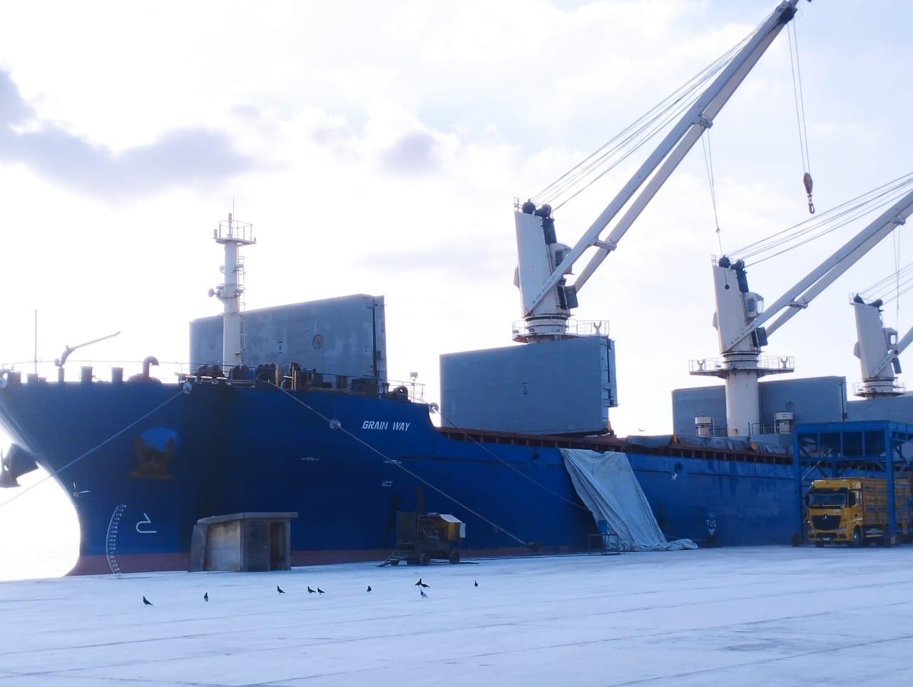 Port discharge facility