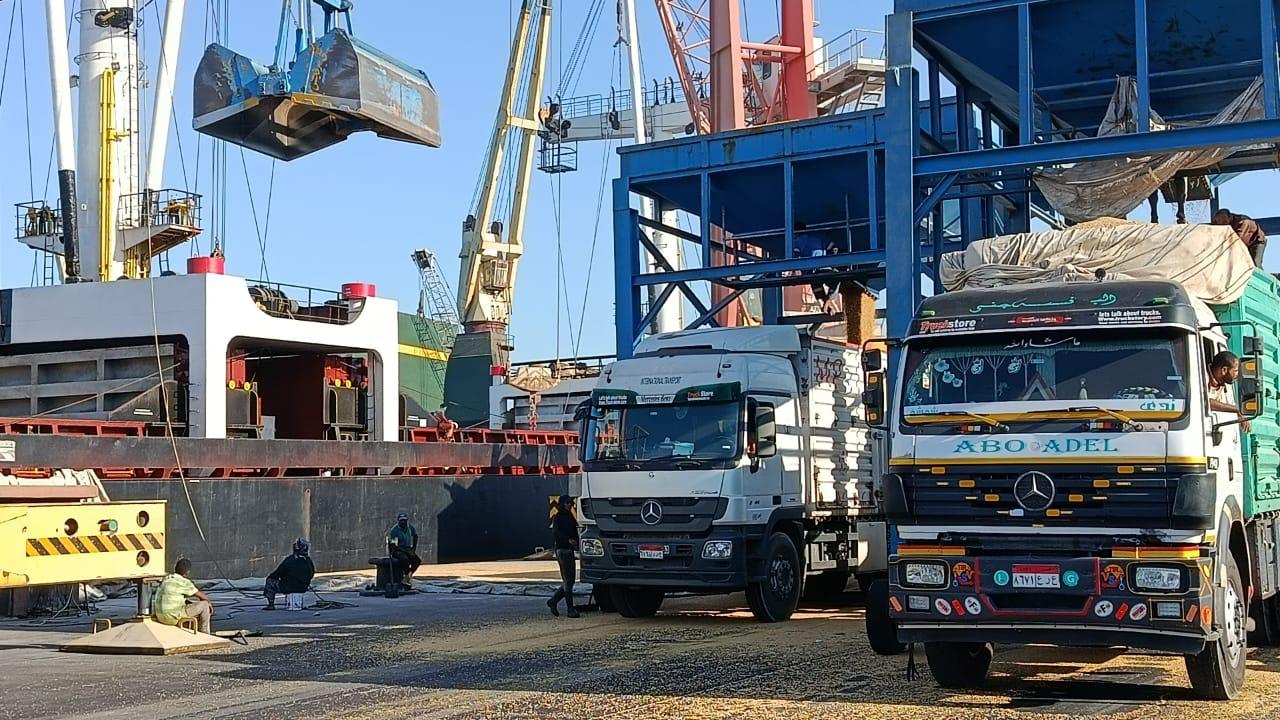 Multiple trucks queued at port under cranes