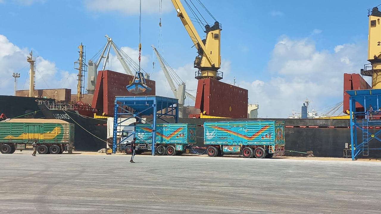 Port discharge crane