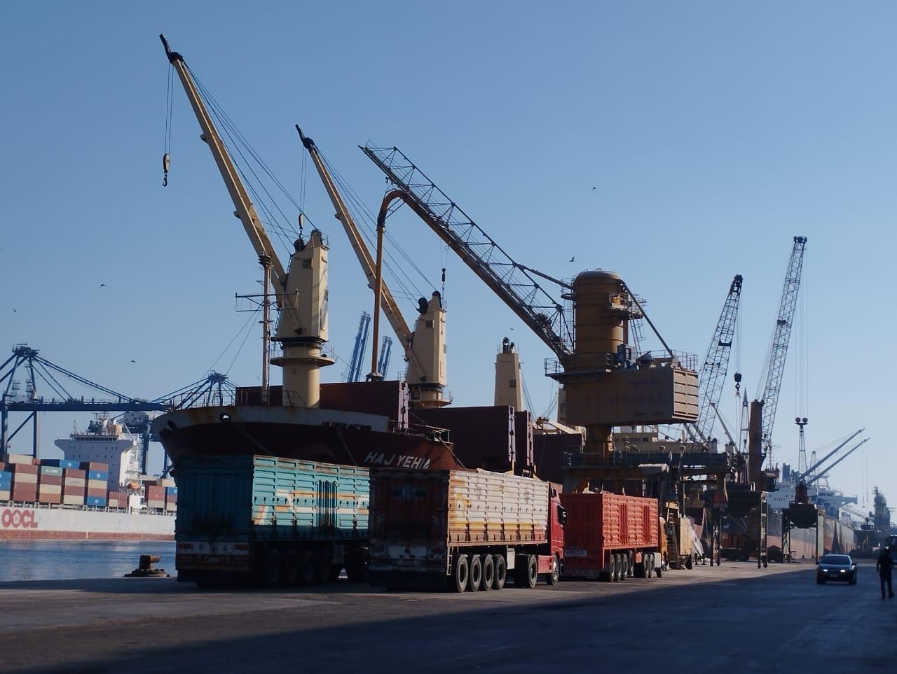 Wide port panorama with multiple cranes and vessels
